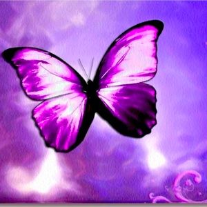 Meet your Posher, Purple